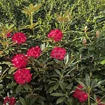 Zum Reiterhof, Doppelbettzimmer Pensjonat 3*