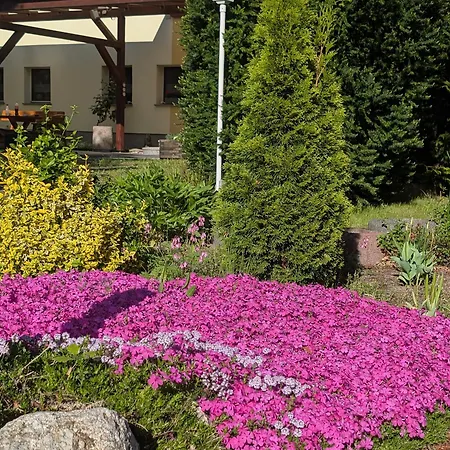 Zum Reiterhof, Doppelbettzimmer 3* Schmogrow