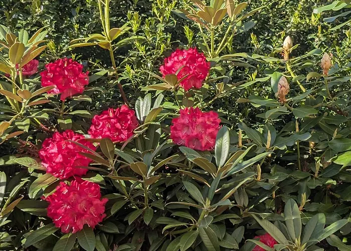 Zum Reiterhof, Doppelbettzimmer Konukevi 3*