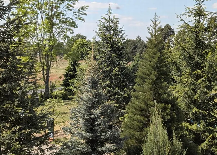 Zum Reiterhof, Doppelbettzimmer Schmogrow